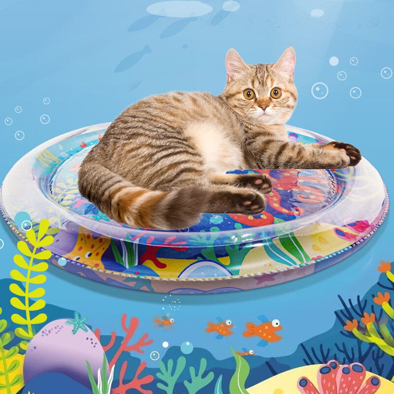 Pet Water Sensory Mat